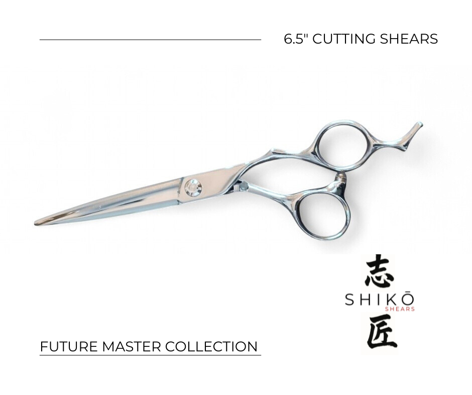 The FUTURE MASTER Core Collection