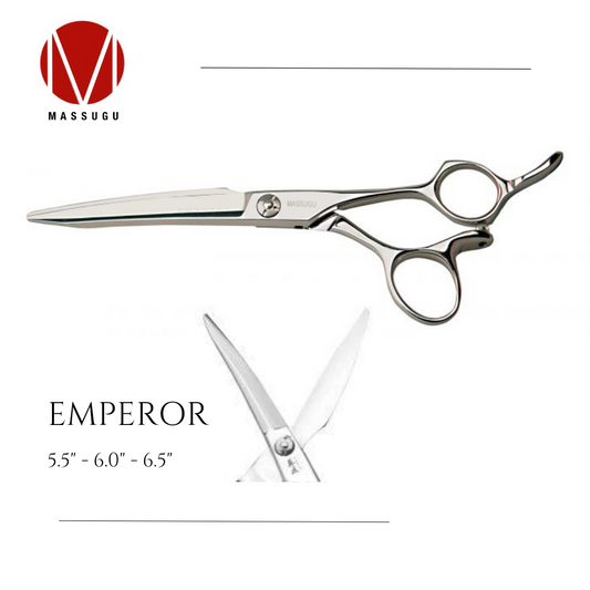EMPEROR / Japanese for 'THE HEAD OF...'